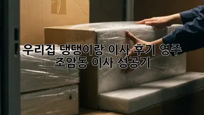우리집 댕댕이랑 이사 후기: 영주 조암동 이사 성공기! 🐾🏠