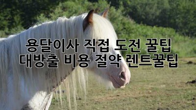 📦 용달이사 직접 도전! 꿀팁 대방출 (비용 절약💰, 렌트꿀팁🚗)